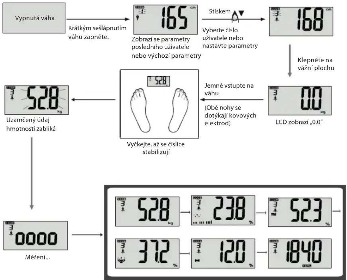 ECG OV 125 - Měření tělesných údajů - 2