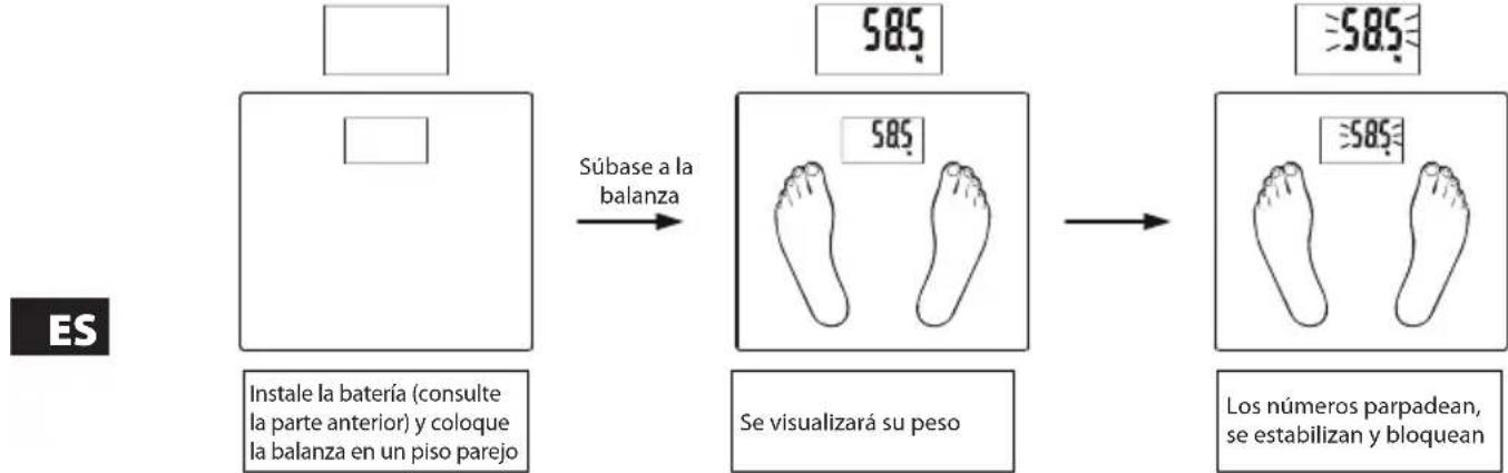 ECG OV 125 - Medición automática de peso (sin confi guración de parámetros) - 1