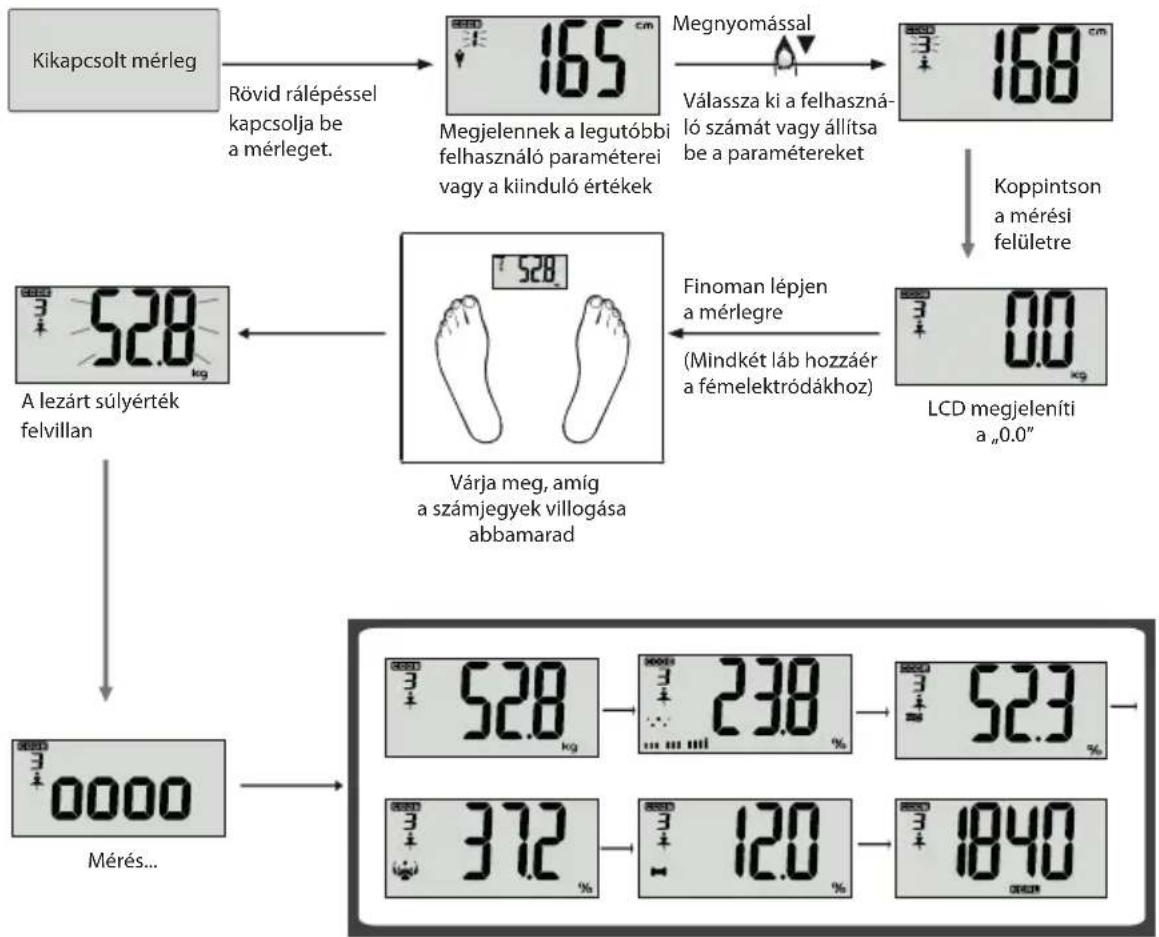 ECG OV 125 - A testadatok mérése - 1