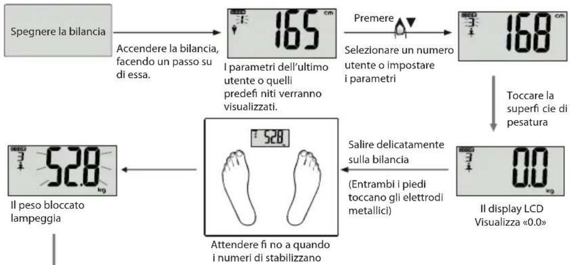 ECG OV 125 - misurazione dei dati fi sici - 1