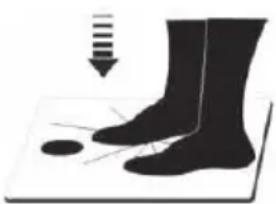ECG OV 124 - LIMPIEZAYMANTENIMIENTO - 1