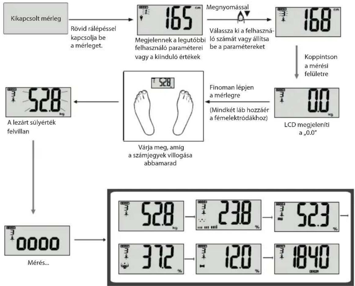 ECG OV 124 - A testadatok mérésé - 1