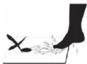 ECG OV 124 - MAINTENANCE AND CLEANING - 2