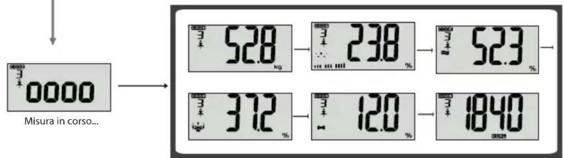 ECG OV 124 - misurazione dei dati f sici - 2