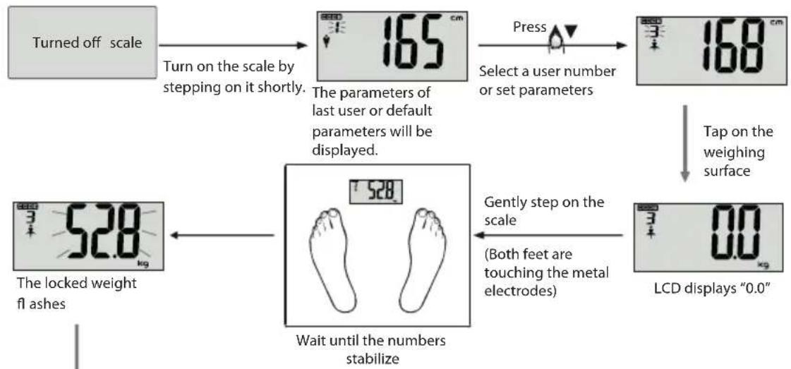 ECG OV 124 - measuring the physical data - 1