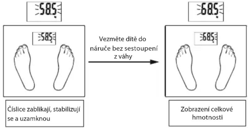 ECG OV 124 - Sčitáni hmotnosti pri dovžovány - 1