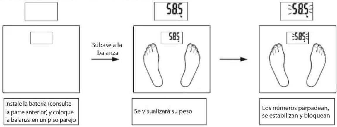 ECG OV 124 - Peso automatico cuando sube a la balanza - 1