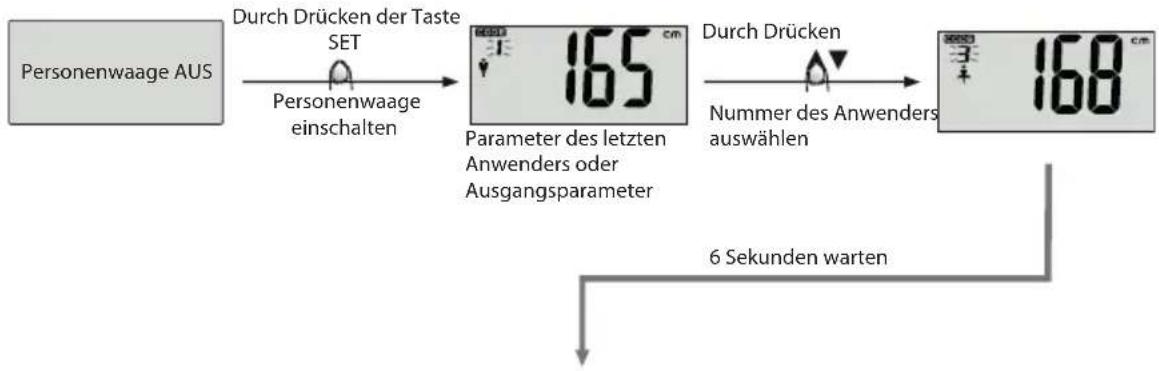 ECG OV 124 - Messen körperlicher Angaben - 2