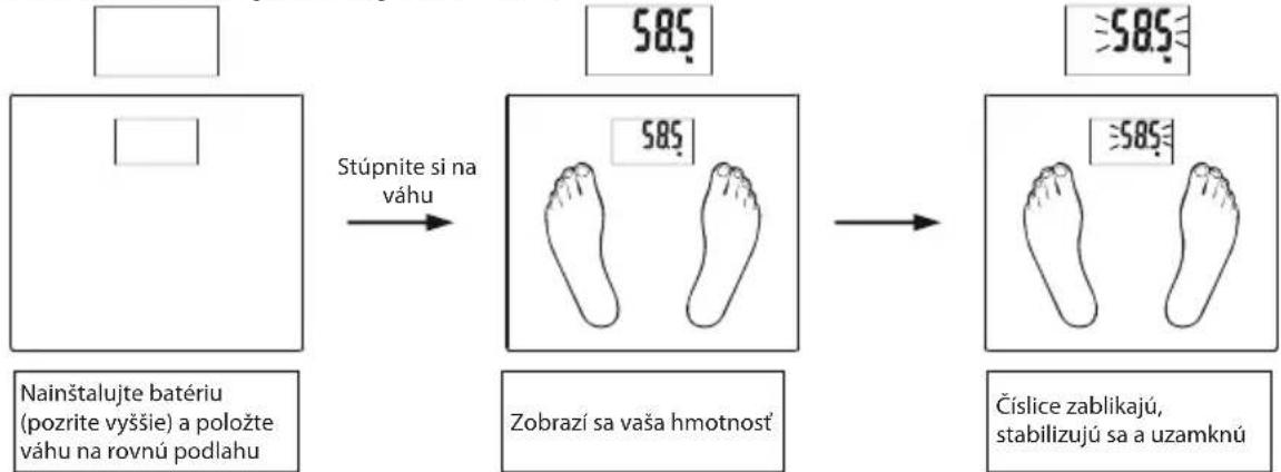 ECG OV 124 - Automatické vázénie pri vstupe na váhu - 1