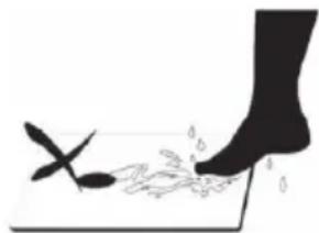 ECG OV 124 - UDRZBA A CISTENI - 2