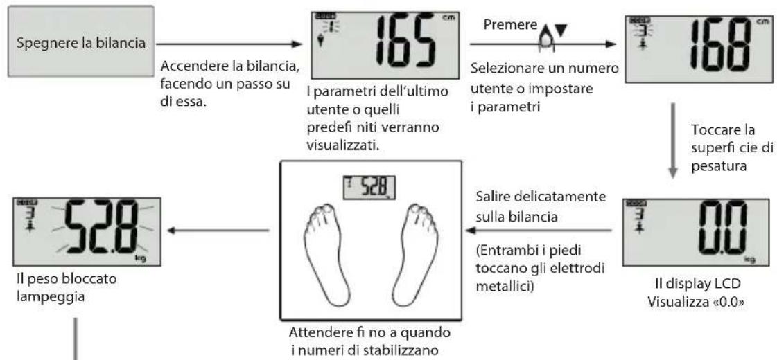 ECG OV 124 - misurazione dei dati f sici - 1