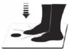 ECG OV 124 - MAINTENANCE AND CLEANING - 1