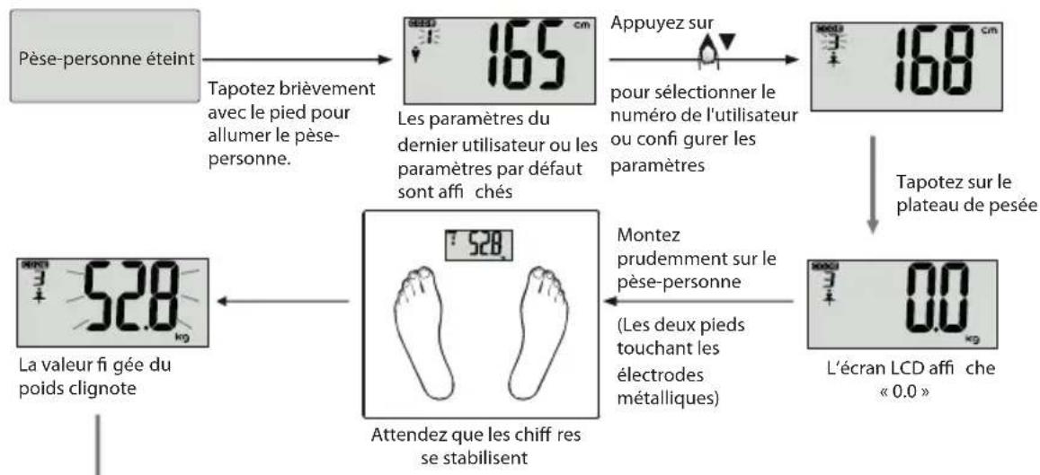 ECG OV 124 - Mesure des données corporelles - 1