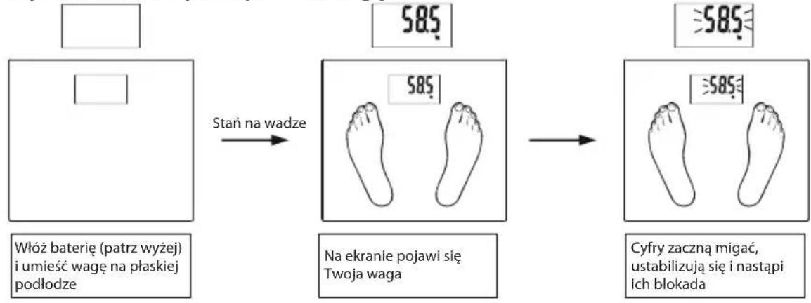 ECG OV 124 - Automatyczne wazenie po wejsciu na wage - 1