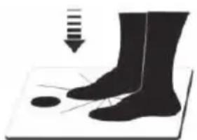 ECG OV 124 - MANUTENZIONE E PULIZIA - 1