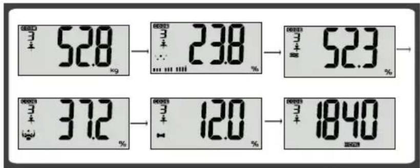 ECG OV 124 - Messen körperlicher Angaben - 4