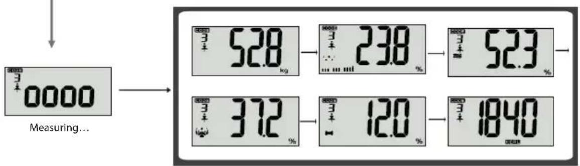 ECG OV 124 - measuring the physical data - 2