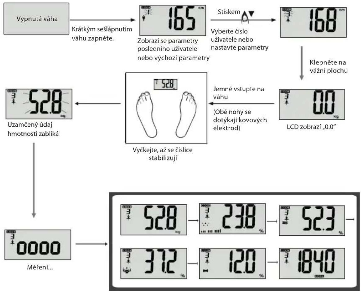 ECG OV 124 - Měrení tělesnych udajů - 2