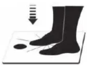 ECG OV 124 - REINIGUNG UND WARTUNG - 1