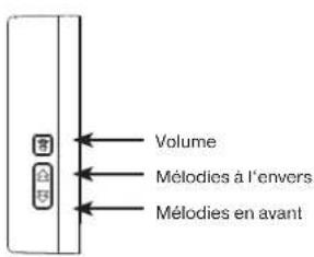 REV DB500 - Supprimer un codage: - 1