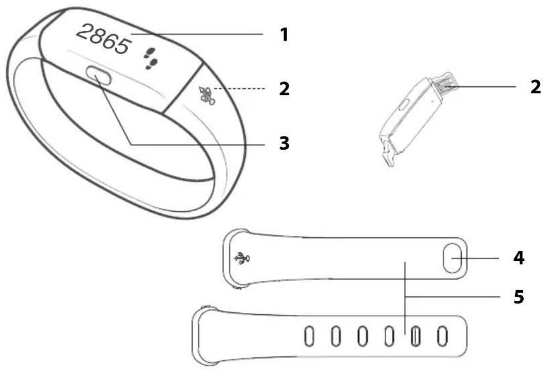 ADE FITvigo AM 1601 - Artículos incluidos en la entrega - 2