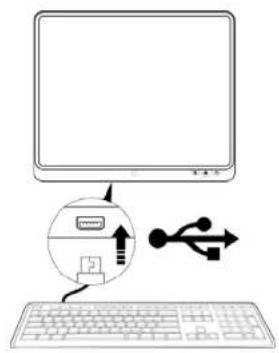 Proscan PLT8031 - Configuration pour la première fois - 4