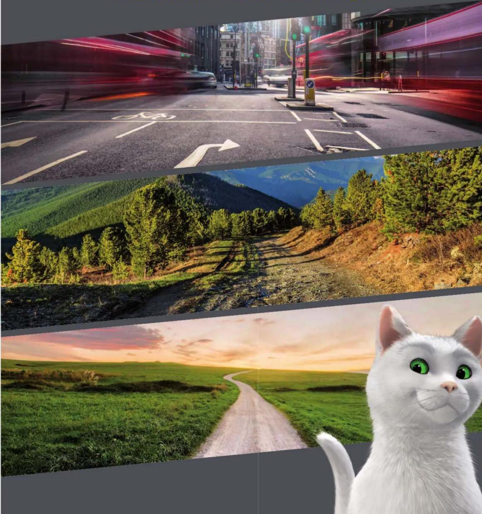 FEU VERT Max - VÉLO À ASSISTANCE ÉLECTRIQUE - 1