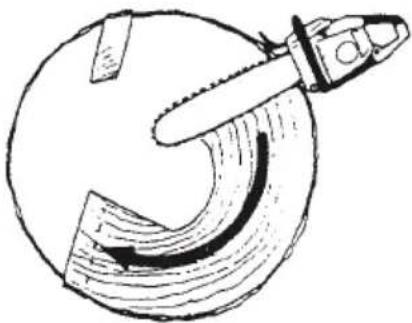 Tanaka TCS 51EAP - Coupe d'abattage. Diamètre du tronc supérieur à deux fois la longueur du guide-chaîne - 2