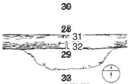 Tanaka TCS 51EAP - Cross cutting logs, pressure on top - 1