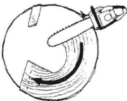 Tanaka TCS 51EAP - Felling cut, trunk diameter more than twice guide bar length - 2