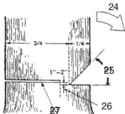 Tanaka TCS 51EAP - Basic rules for felling trees - 1