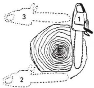 Tanaka TCS 51EAP - Cross cutting logs, pressure on bottom - 2