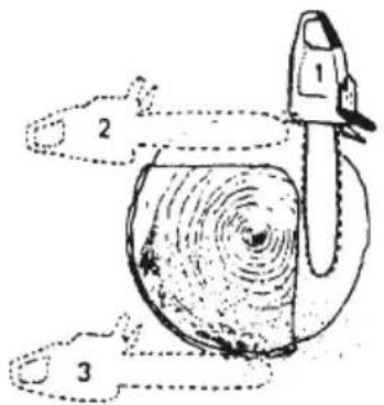 Tanaka TCS 51EAP - Grumes d'un diamètre supérieur à la longueur du guide-chaine - 1