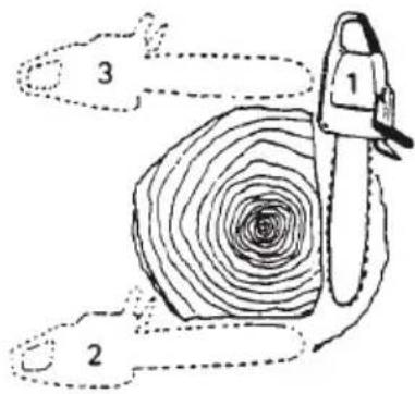 Tanaka TCS 51EAP - Grumes d'un diamètre supérieur à la longueur du guide-chaine - 1