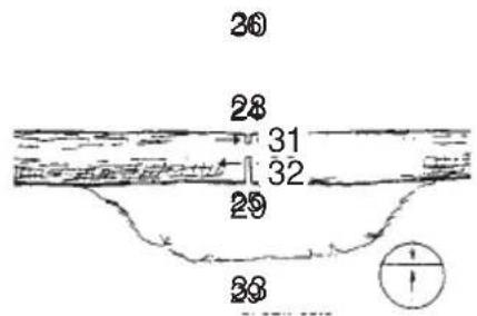 Tanaka TCS 51EAP - Coupe transversale des grumes, la pression s'exerçant par le bas - 1