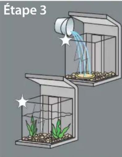 SuperFish Wave 15 - La mise en service de votre aquarium: - 4