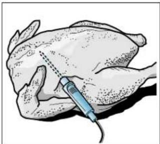 THERMADOR ME302WS - Inserting the Meat Probe into the Food - 2