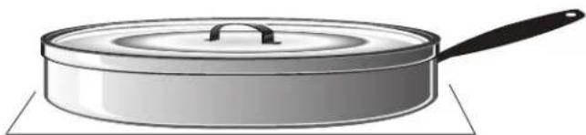 THERMADOR PCG305W - WARNING - 2