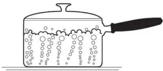 THERMADOR PRG364WLH - MISE EN GARDE - 4