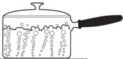 THERMADOR PRG364WLH - PRECAUCIÓN - 4