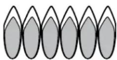 THERMADOR PRG364WLH - Flame characteristics - 2