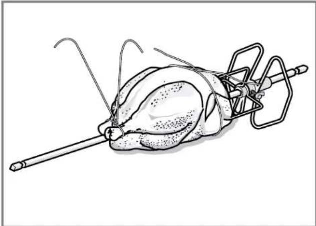 THERMADOR POD301W - Brider la volaille pour la rôtisserie - 4