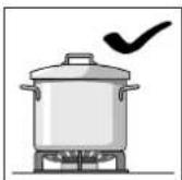 GAGGENAU CG291210DE - Conseils d'utilisation - 1