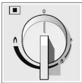 GAGGENAU CG280110F - Manopola di lavoro Manopola di lavoro bruciatore wok - 2