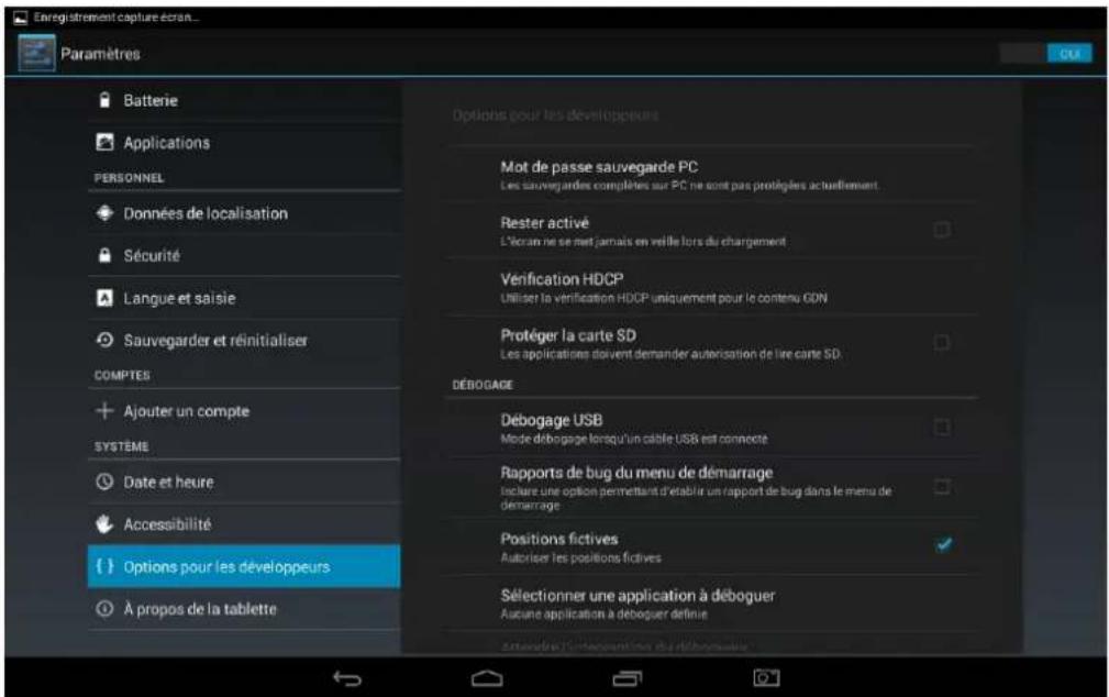 HANNSPREE HannsPad SN14T71 - Options pour les développpeurs - 1