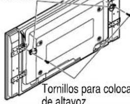 PANASONIC TYST10H - Colocacion en una pared - 1