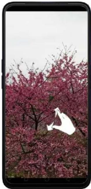 OPPO A5 (2020) - Affichage, zoom avant et arrêté - 4