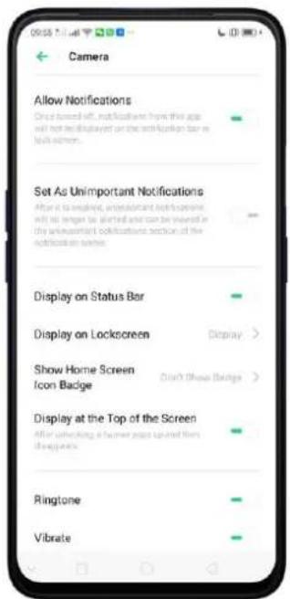 OPPO A5 (2020) - Notifications - 4