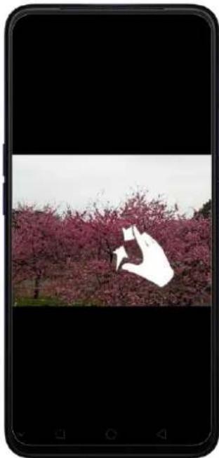 OPPO A5 (2020) - Affichage, zoom avant et arrêté - 5