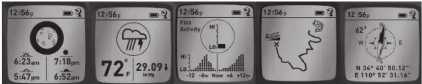 BUSHNELL BackTrack FishTrack - VIEWING THE DATA SCREENS - 1